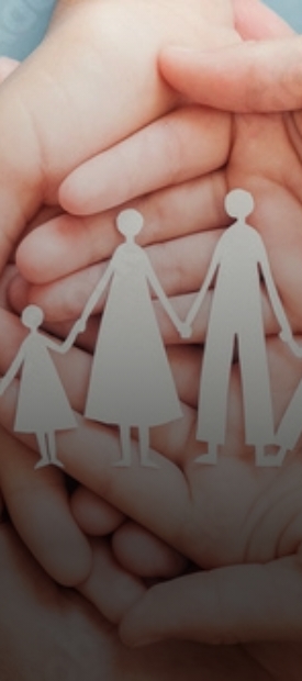 Life Insurance & Pension Fund